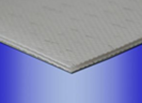 浙江财玉传动科技有限公司/CAIYUBELT/PE输送带