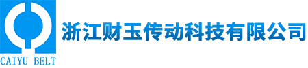 浙江财玉传动科技有限公司