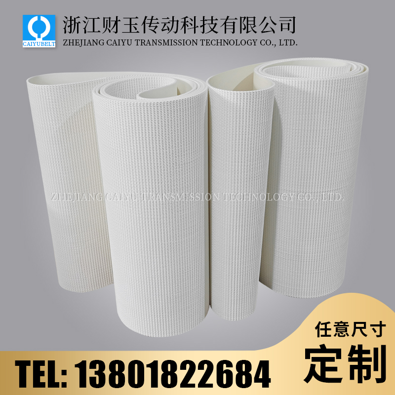 浙江财玉传动科技有限公司/CAIYUBELT/PVC白色草型纹输送带