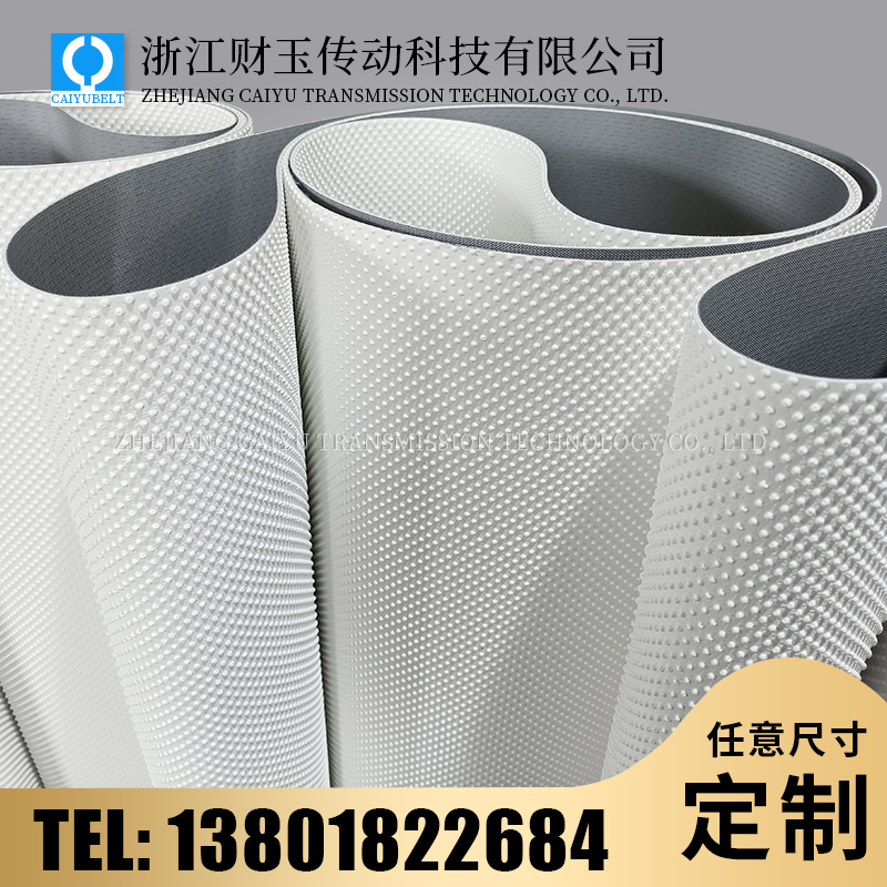 浙江财玉传动科技有限公司/CAIYUBELT/小圆点花纹输送带