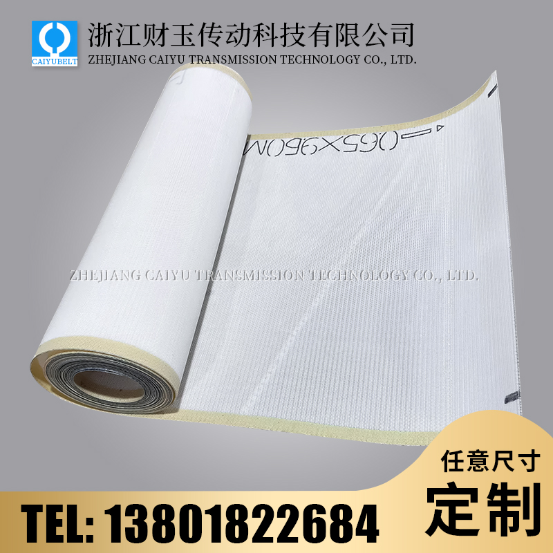 浙江财玉传动科技有限公司/CAIYUBELT/尼龙网传送带