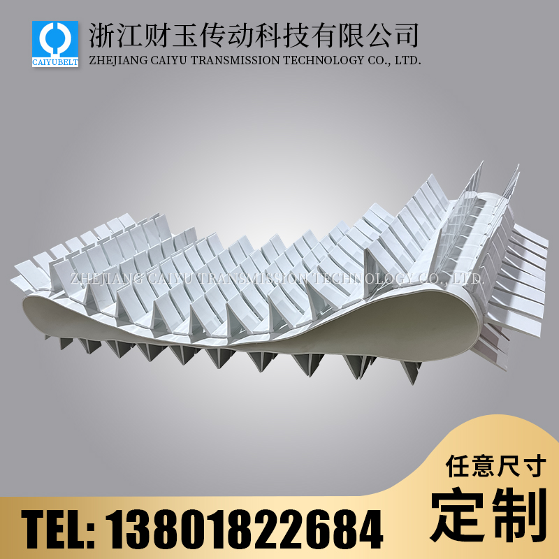 浙江财玉传动科技有限公司/CAIYUBELT/挡板输送带