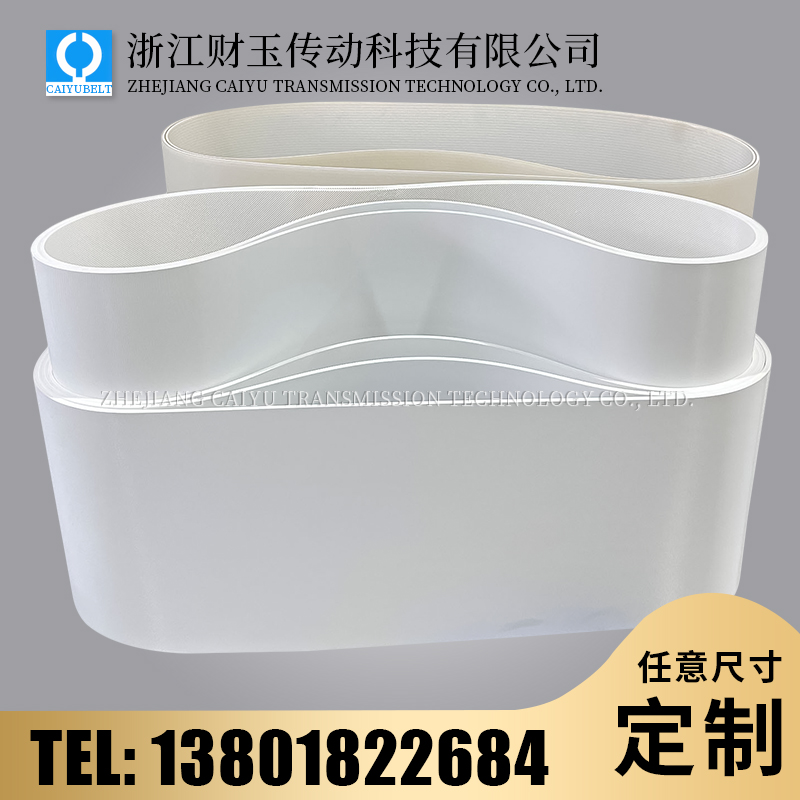 浙江财玉传动科技有限公司/CAIYUBELT/钻石纹输送带