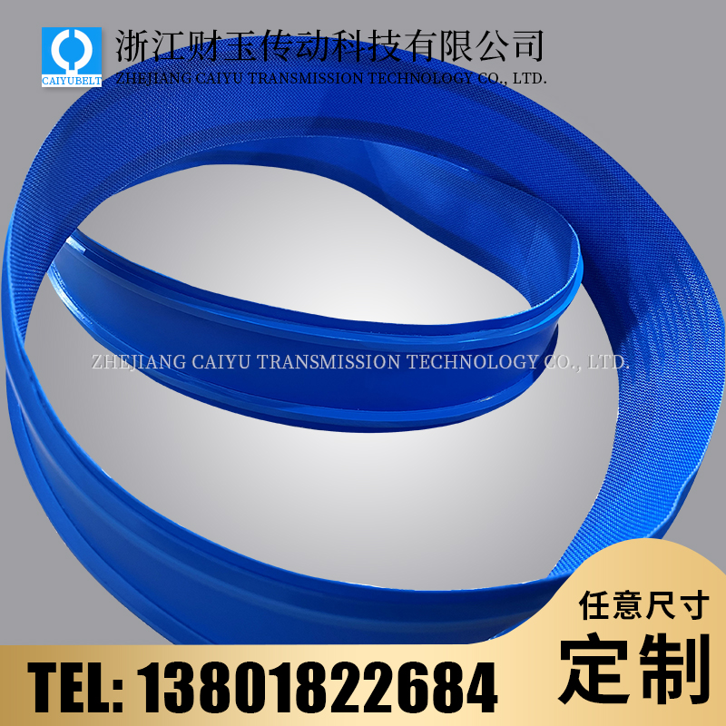 浙江财玉传动科技有限公司/CAIYUBELT/蓝色PU食品输送带