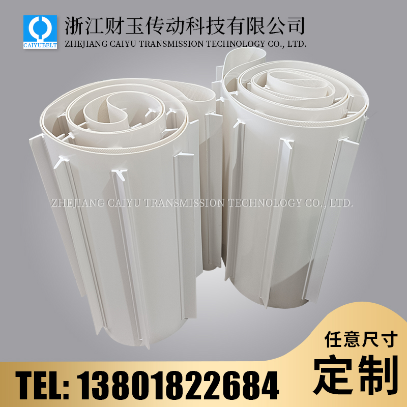 浙江财玉传动科技有限公司/CAIYUBELT/挡板输送带