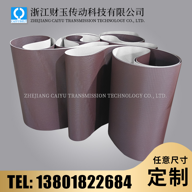 浙江财玉传动科技有限公司/CAIYUBELT/PU蛇皮纹网眼纹输送带
