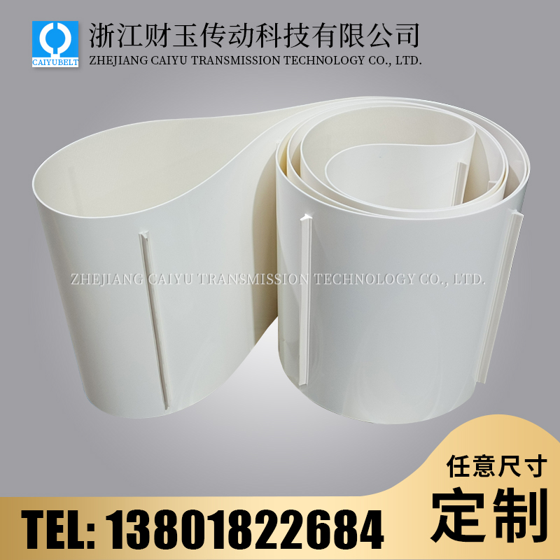 浙江财玉传动科技有限公司/CAIYUBELT/输送带加挡板