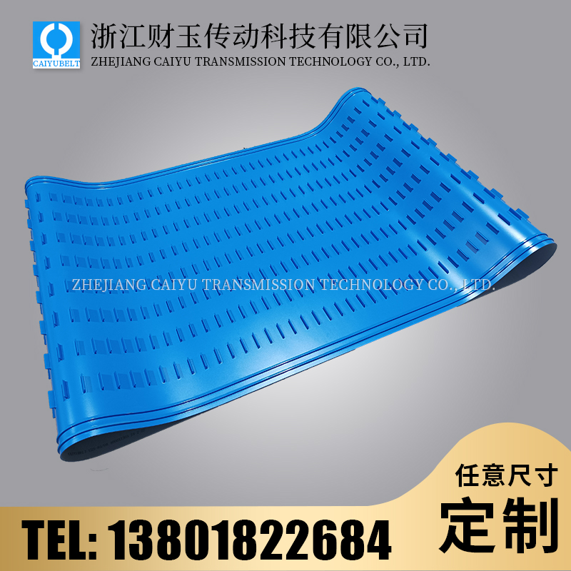 浙江财玉传动科技有限公司/CAIYUBELT/蓝色挡板输送带