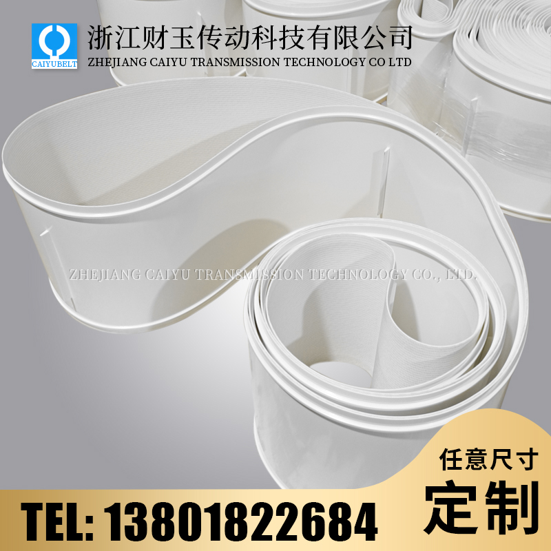 浙江财玉传动科技有限公司/CAIYUBELT/PU挡板输送带 工业皮带