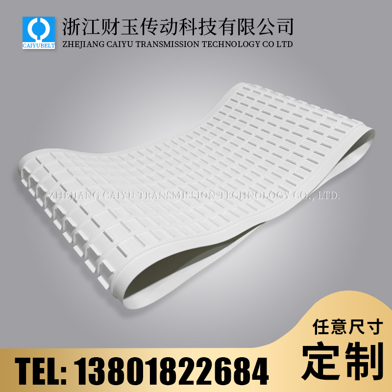 浙江财玉/CAIYUBELT/PU挡板输送带