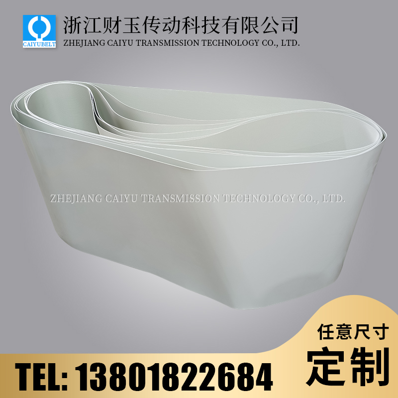 浙江财玉传动科技有限公司/CAIYUBELT/白色亚光输送带