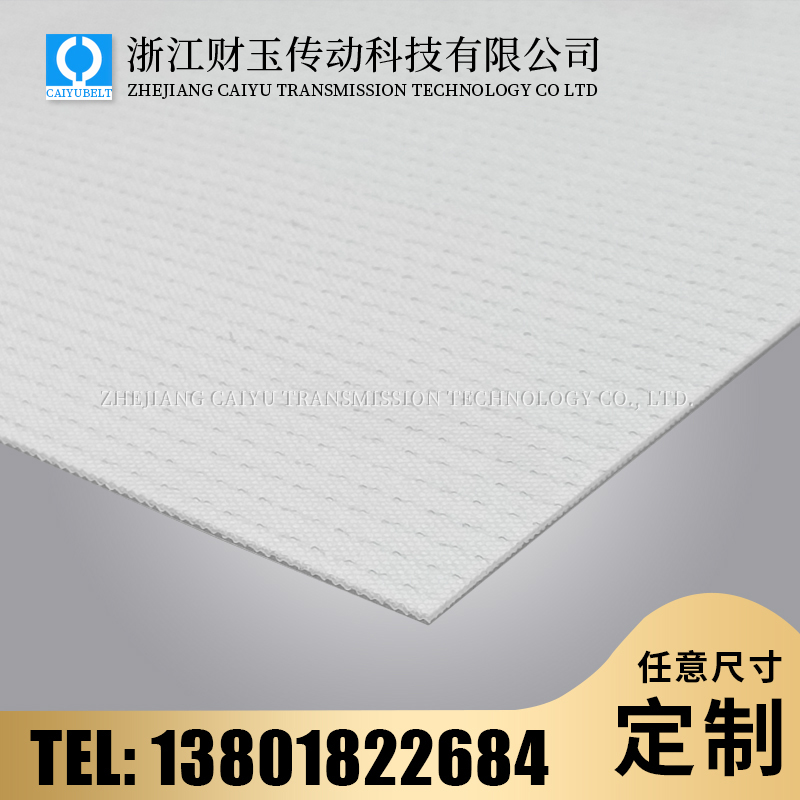 浙江财玉传动科技有限公司/CAIYUBELT/PE输送带